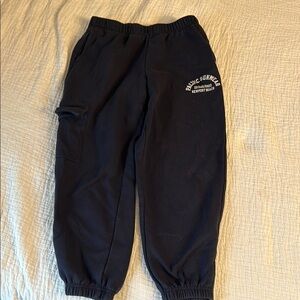 Pacsun Pacific Sunwear Navy Sweats